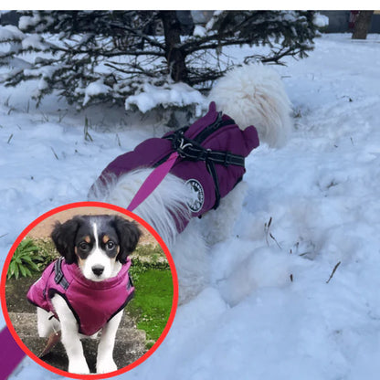 Waterproof Winter Dog Jacket with Built-in Harness