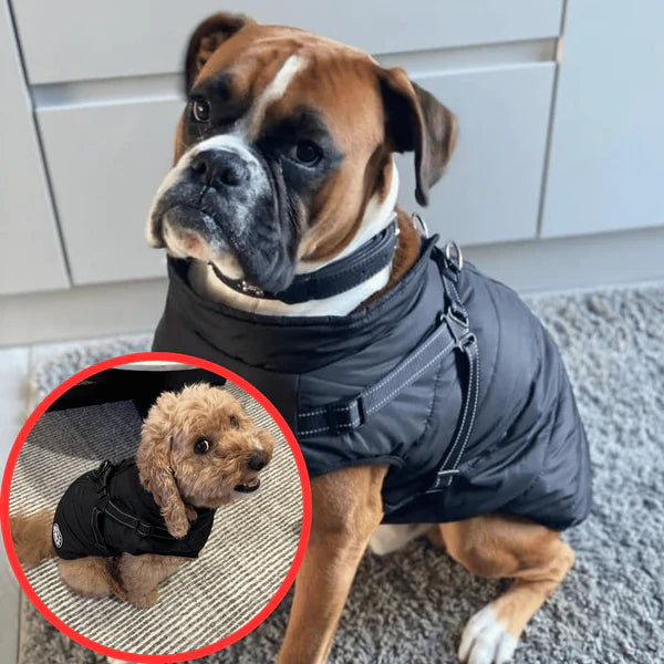 Waterproof Winter Dog Jacket with Built in Harness LS Mart