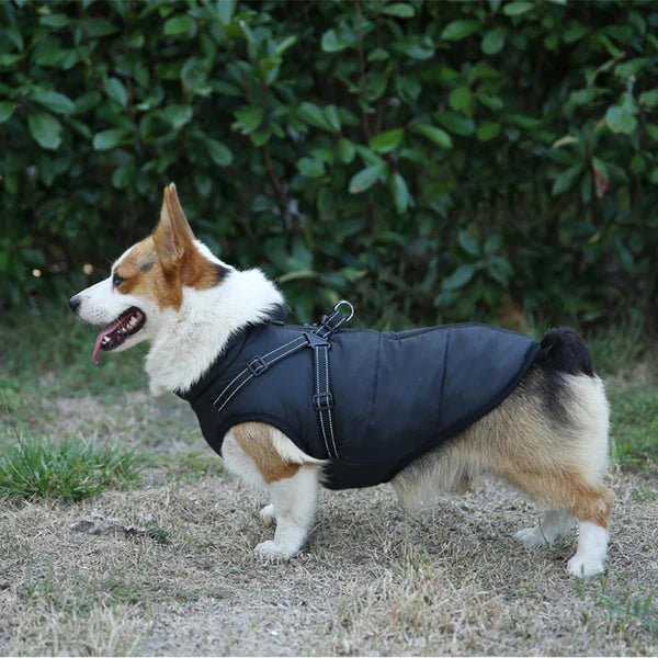 Waterproof Winter Dog Jacket with Built-in Harness